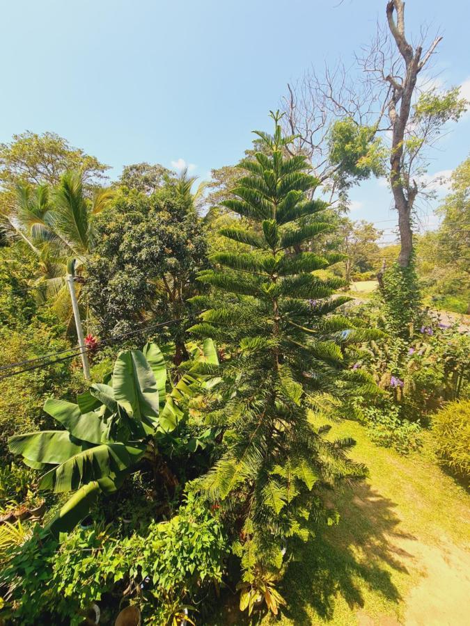 Peacock Villa Resort Udawalawe Zewnętrze zdjęcie