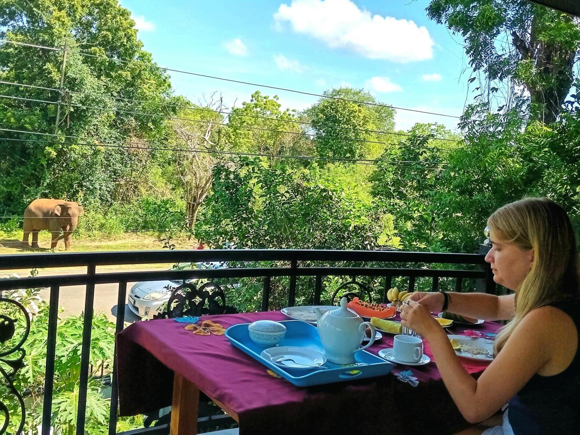 Peacock Villa Resort Udawalawe Pokój zdjęcie