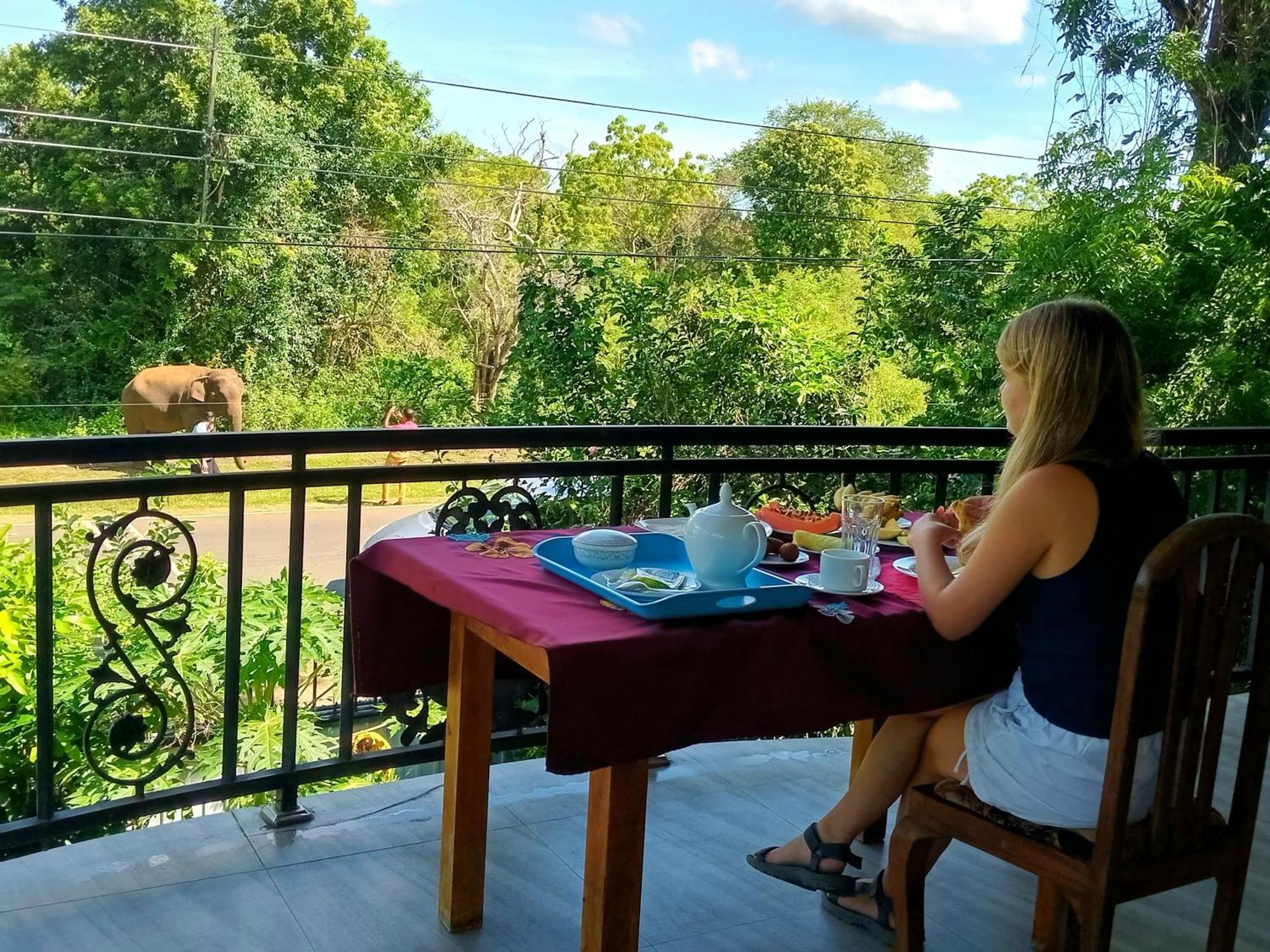 Peacock Villa Resort Udawalawe Zewnętrze zdjęcie